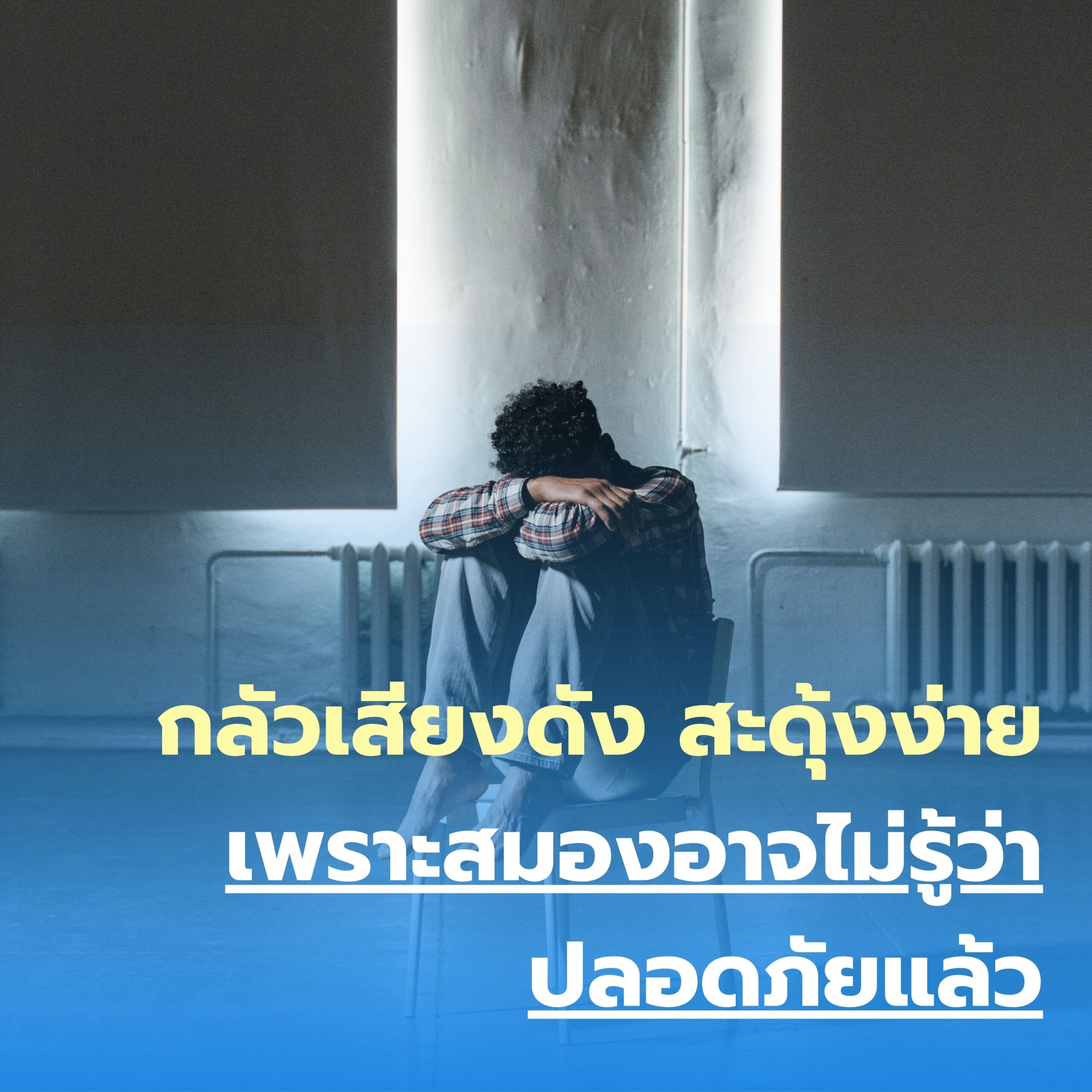 กลัวเสียงดัง